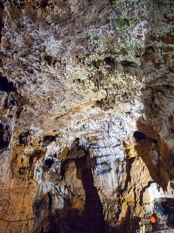 Фото 9