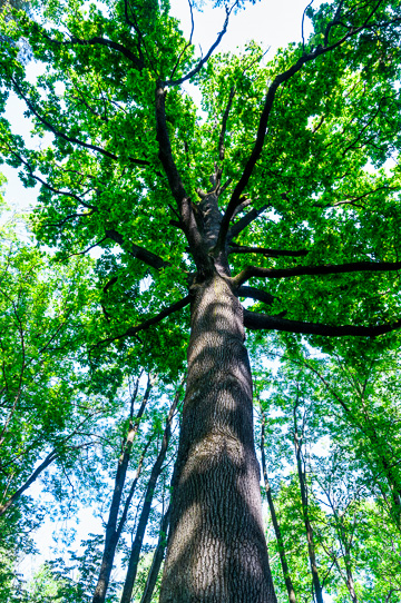 Фото 06