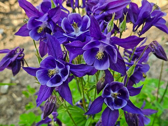 Фото 25