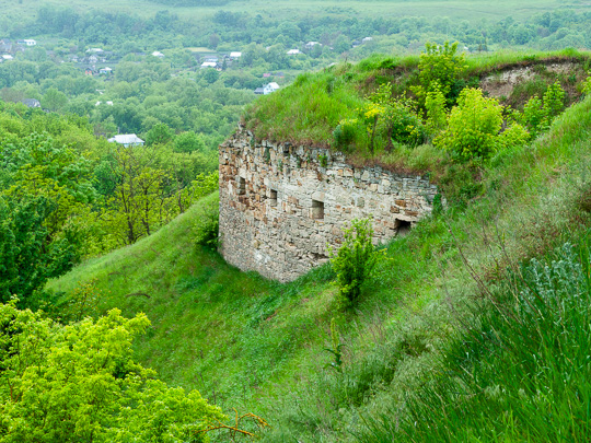 Зиньковский замок