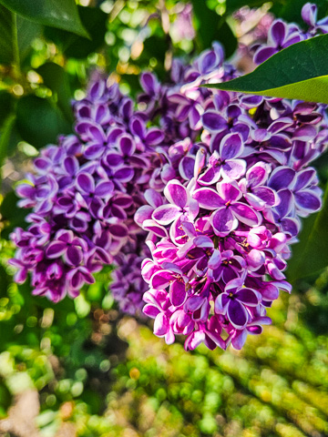 Фото 05